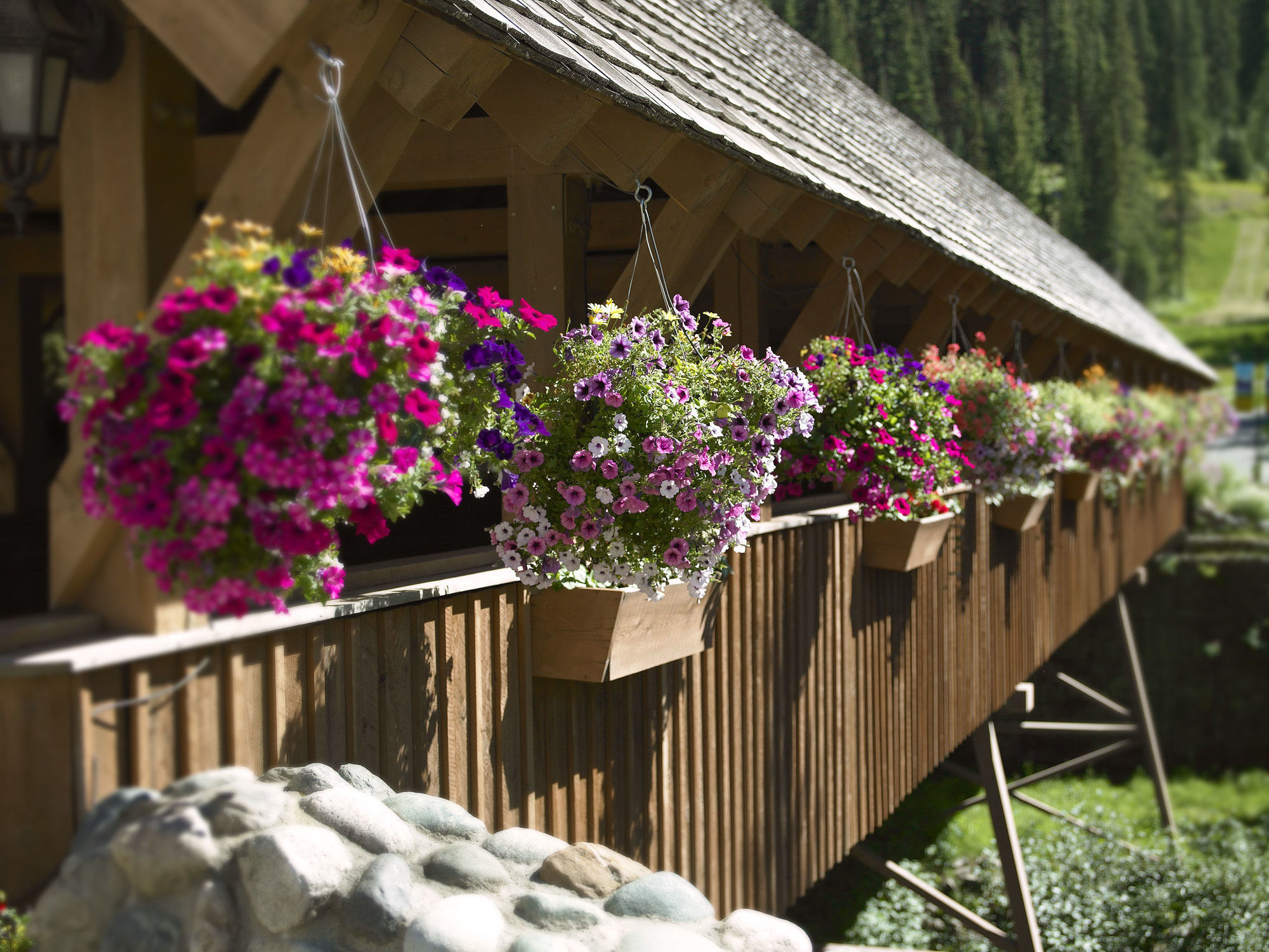 Sundance Lodge Sun Peaks Exterior foto